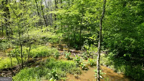 5 Acres Byrom Rd, Senoia, GA 30276 photo 32