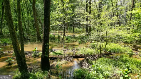 5 Acres Byrom Rd, Senoia, GA 30276 photo 31
