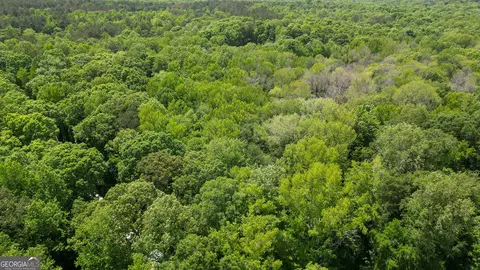 5 Acres Byrom Rd, Senoia, GA 30276 photo 5