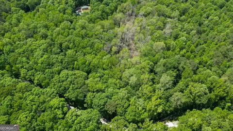 5 Acres Byrom Rd, Senoia, GA 30276 photo 9