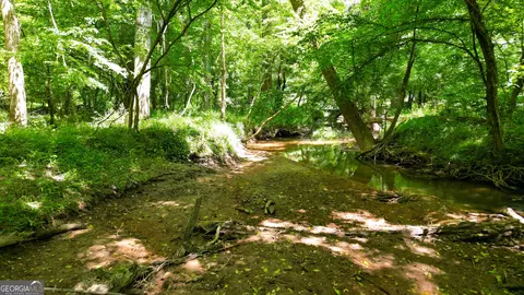 5 Acres Byrom Rd, Senoia, GA 30276 photo 41