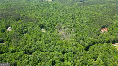 5 Acres Byrom Rd, Senoia, GA 30276 photo 10