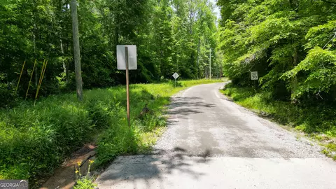 5 Acres Byrom Rd, Senoia, GA 30276 photo 46