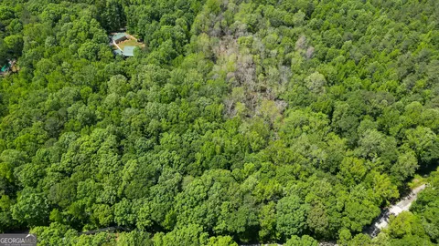 5 Acres Byrom Rd, Senoia, GA 30276 photo 13