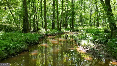 5 Acres Byrom Rd, Senoia, GA 30276 photo 23