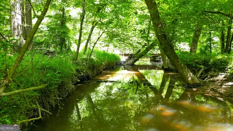 5 Acres Byrom Rd, Senoia, GA 30276 photo 43