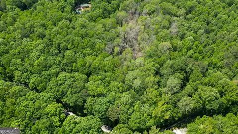 5 Acres Byrom Rd, Senoia, GA 30276 photo 8