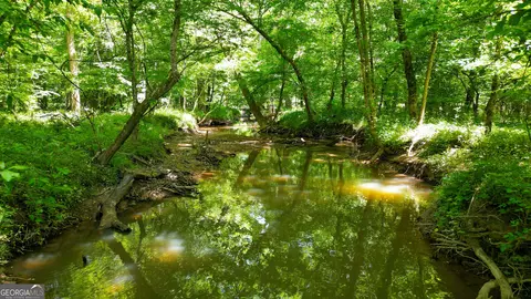 5 Acres Byrom Rd, Senoia, GA 30276 photo 40