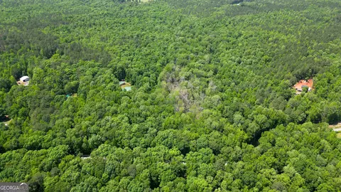 5 Acres Byrom Rd, Senoia, GA 30276 photo 11