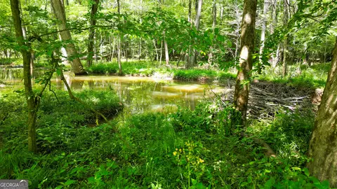 5 Acres Byrom Rd, Senoia, GA 30276 photo 35