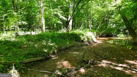5 Acres Byrom Rd, Senoia, GA 30276 photo 42