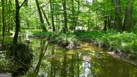 5 Acres Byrom Rd, Senoia, GA 30276 photo 21