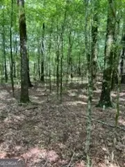 0 Bellewood Dr #LOT B, Washington, GA 30673
