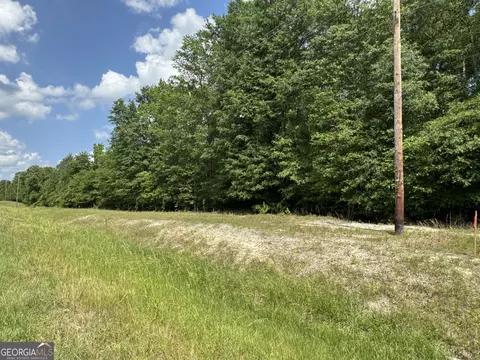 130 Goldkist Rd, Clyo, GA 31303