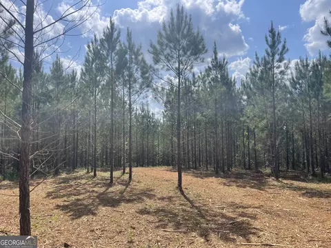 2 Bagley Rd, Forsyth, GA 31029 photo 2