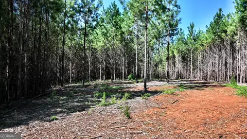 2 Bagley Rd, Forsyth, GA 31029 photo 9