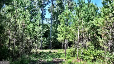 2 Bagley Rd, Forsyth, GA 31029 photo 10