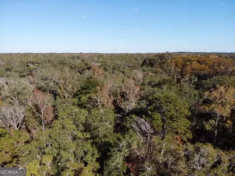 0 Little Ocmulgee Riv, Lumber City, GA 31549