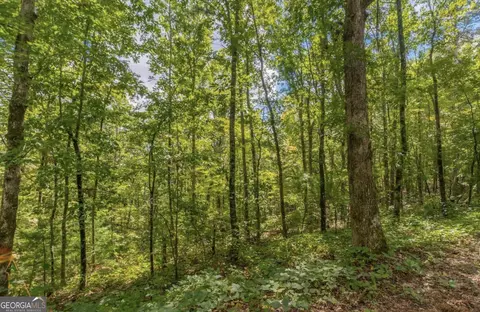 0 Bear Gap Rd #7, Clarkesville, GA 30523 photo 11