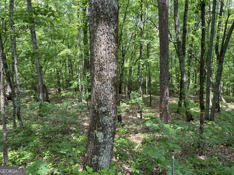 0 Bear Gap Rd #7, Clarkesville, GA 30523 photo 7
