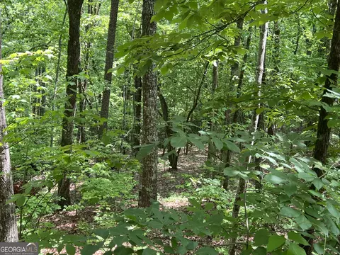 0 Bear Gap Rd #7, Clarkesville, GA 30523 photo 9