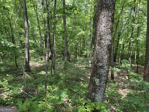0 Bear Gap Rd #7, Clarkesville, GA 30523 photo 2