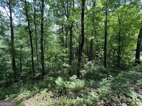 0 Bear Gap Rd #7, Clarkesville, GA 30523 photo 3