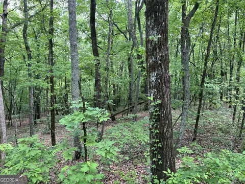 0 Bear Gap Rd #7, Clarkesville, GA 30523 photo 8