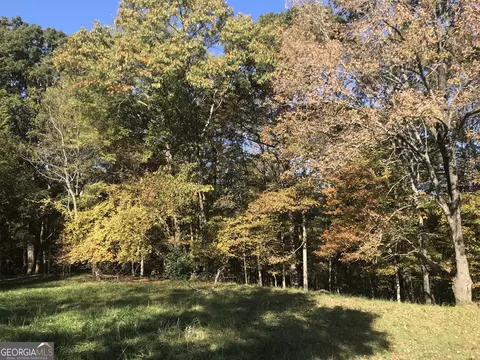 1100 Askew Trl, Greensboro, GA 30642