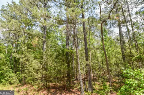 0 Skelton Rd #LOT 5, Thomaston, GA 30286