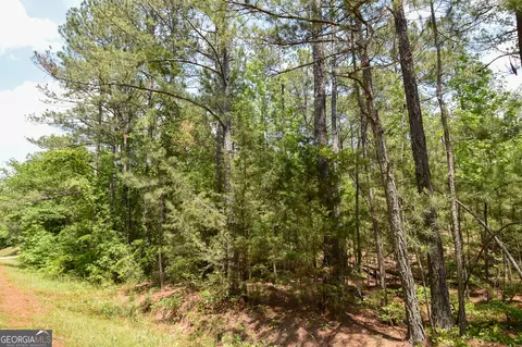 0 Skelton Rd #LOT 9, Thomaston, GA 30286