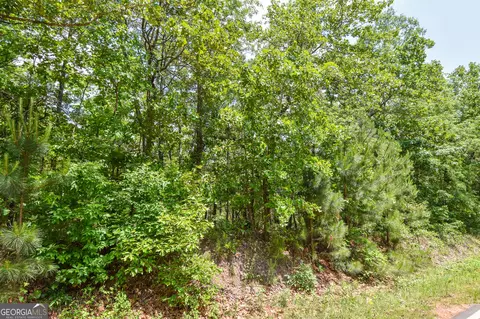 0 Skelton Rd #LOT 11, Thomaston, GA 30286