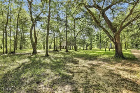 8902 Old River Rd, Brooklet, GA 30415 photo 7