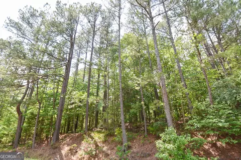 0 Skelton Rd #LOT 4, Thomaston, GA 30286
