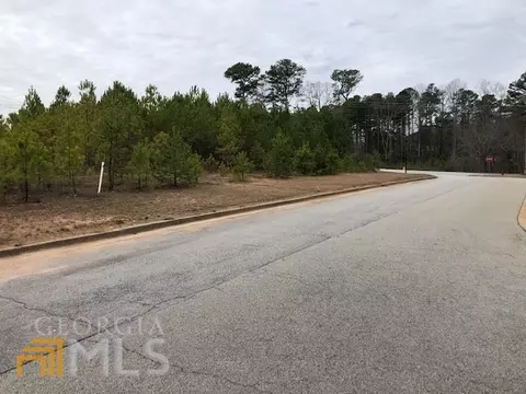 416 Silver Leaf Ct, Bremen, GA 30110 photo 8