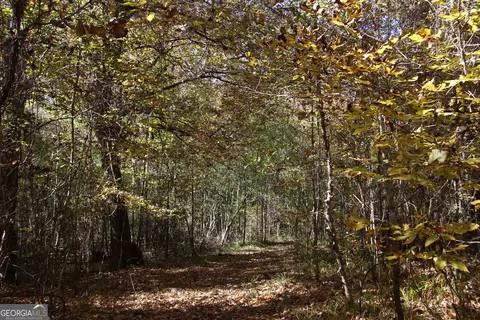 504 Jenkins Rd, Forsyth, GA 31029 photo 7