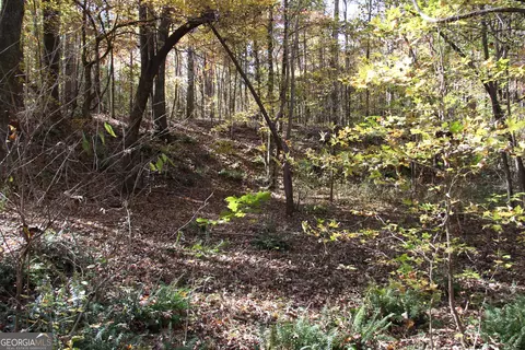 504 Jenkins Rd, Forsyth, GA 31029 photo 11