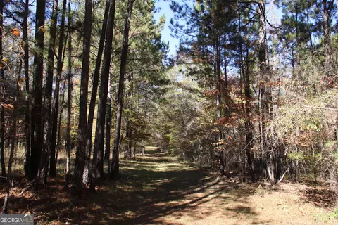 504 Jenkins Rd, Forsyth, GA 31029 photo 9