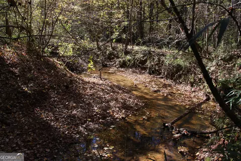 504 Jenkins Rd, Forsyth, GA 31029 photo 6