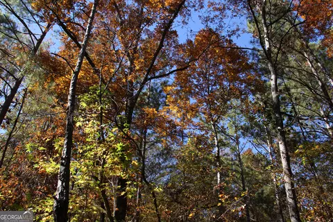 504 Jenkins Rd, Forsyth, GA 31029 photo 4