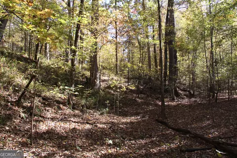 504 Jenkins Rd, Forsyth, GA 31029 photo 5