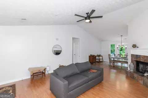 324 Lacebark Ln, Hampton, GA 30228 photo 30