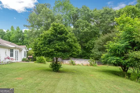 324 Lacebark Ln, Hampton, GA 30228 photo 42