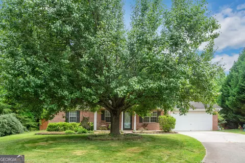 324 Lacebark Ln, Hampton, GA 30228 photo 3