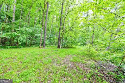 523 Pheasant Mountain Rd, Toccoa, GA 30577 photo 40