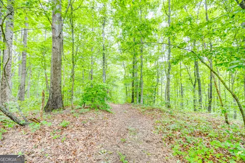 523 Pheasant Mountain Rd, Toccoa, GA 30577 photo 37