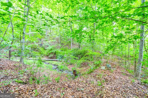 523 Pheasant Mountain Rd, Toccoa, GA 30577 photo 44