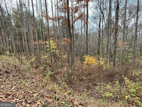 lot20 Hamilton Rd, Blairsville, GA 30512