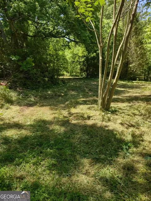 620 Roy Bird Rd, Rock Spring, GA 30739 photo 13