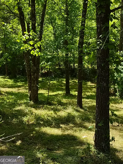 620 Roy Bird Rd, Rock Spring, GA 30739 photo 8